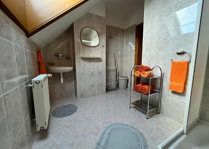 Silvester * Ждьяр