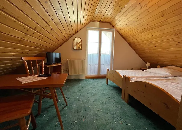 Проживание в семье Silvester Ждьяр