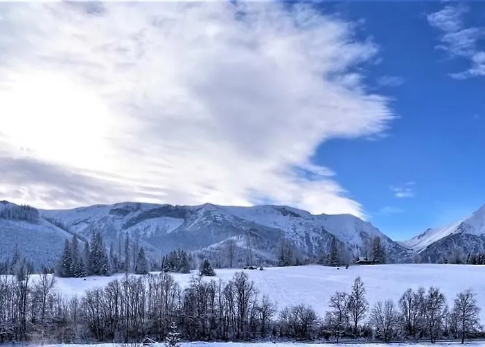 Silvester Проживание в семье Ждьяр