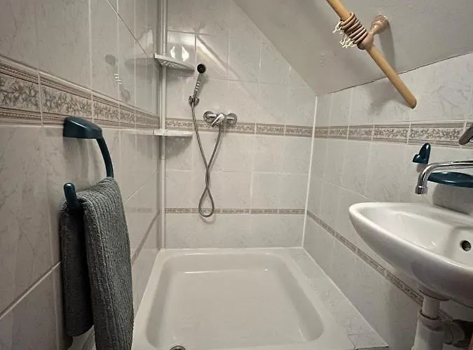 Silvester * Ждьяр