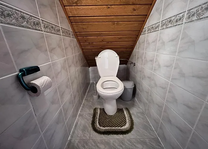 Silvester Проживание в семье *